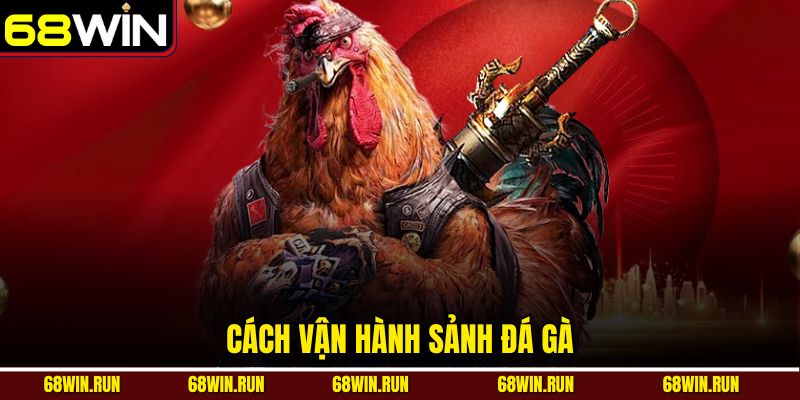 Cách vận hành sảnh đá gà 68WIN